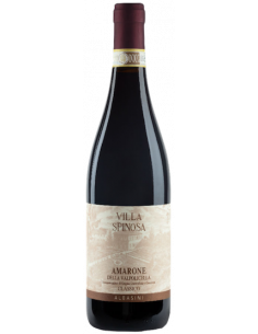 Vini online Albasini Amarone (2017) Valpolicella - Villa Spinosa