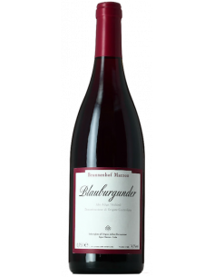 Vini online Pinot Nero - Brunnenhof