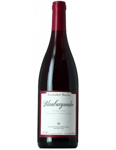 Vini online Pinot Nero - Brunnenhof