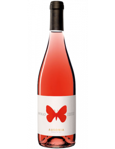 Vini online Cerasuolo D'abruzzo Apollo - Ausonia