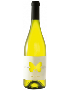 Vini online Trebbiano D'abruzzo Apollo - Ausonia