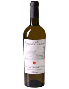 Vini online 2006 Vigna Del Vulcano Lacryma Bianco - Villa Dora