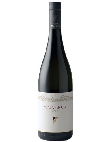 Vini online Capri Bianco 2020 - Scala Fenicia