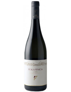 Vini online Capri Bianco 2020 - Scala Fenicia