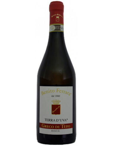 Vini online Greco di Tufo Terra D'uva - Ferrara