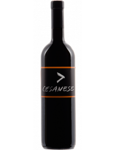 Vini online Cesanese  Metodo Ripasso - L'olivella