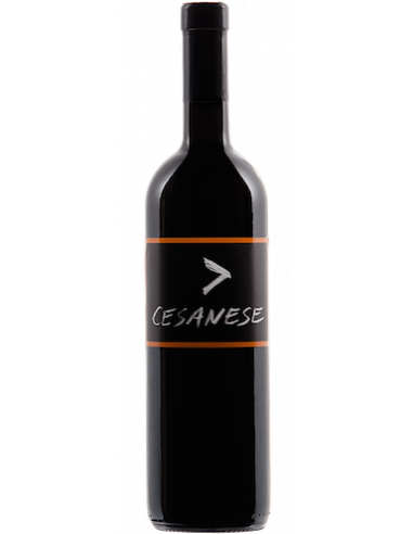 Vini online Cesanese  Metodo Ripasso - L'olivella