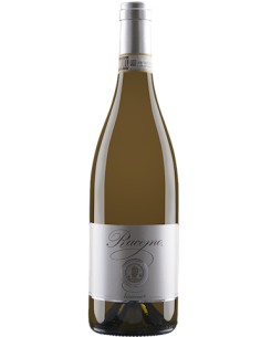 Vini online Frascati Superiore Racemo Bianco Bio Wine - L'olivella