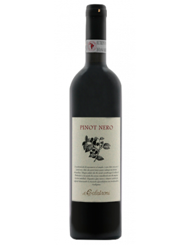 Vini online Pinot Nero Oltrepò Pavese Fioravanti - Calatroni