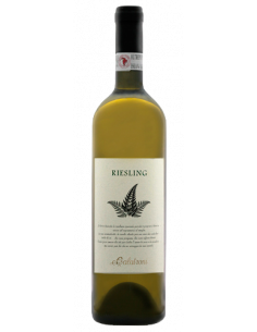 Vini online Riesling Renano Oltrepò Pavese Campo Dottore - Calatroni