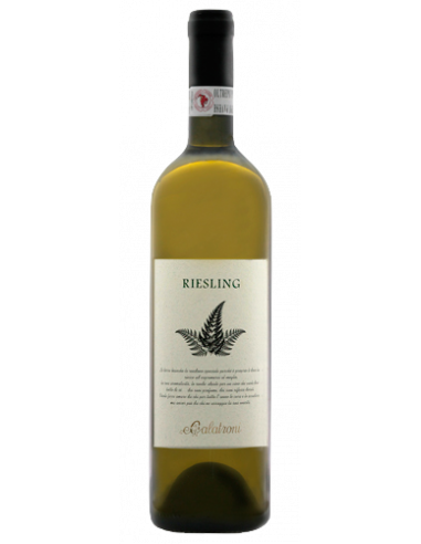 Vini online Riesling Renano Oltrepò Pavese Campo Dottore - Calatroni