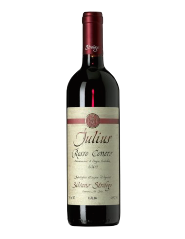 Vini online Rosso Conero Julius - Silvano Strologo