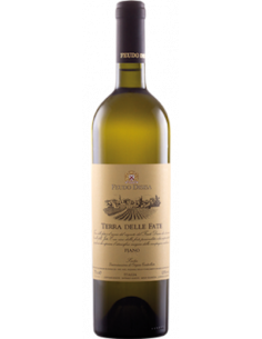 Vini online Fiano Terra Delle Fate - Feudo Disisa