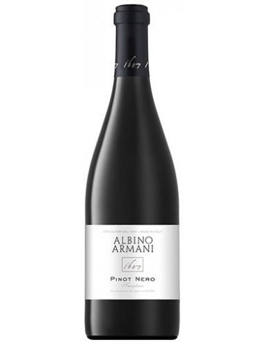 Vini online Pinot Nero -  Albino Armani