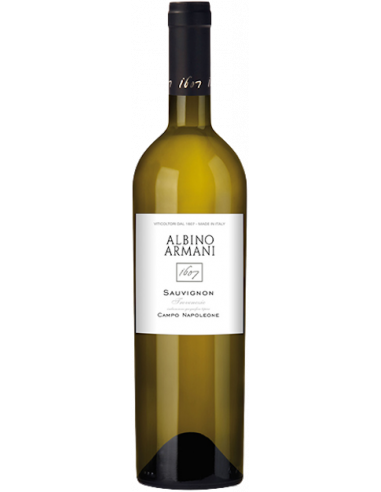 Vini online Sauvignon Campo Napoleone  Albino Armani