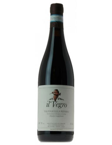Vini online Ripasso Valpolicella Classico Superiore Il Vegro - Brigaldara