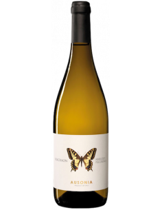 Vini online Pecorino Machaon - Ausonia